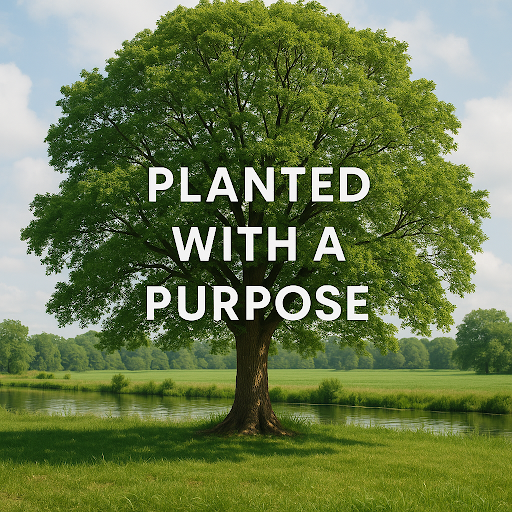 Planted with a Purpose