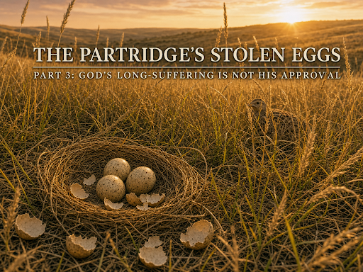 The Partridge’s Stolen Eggs 